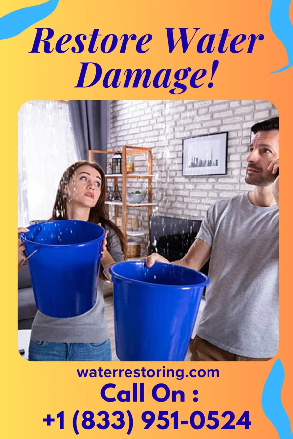 water restoration Prime Flood Damage Inc La Crosse