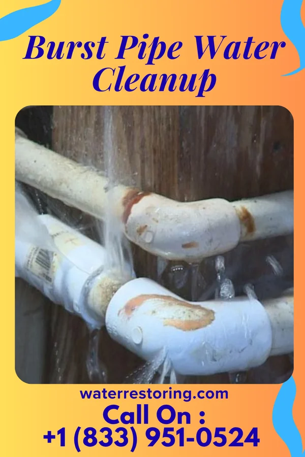 Burst Pipe Water Cleanup in La Crosse, VA