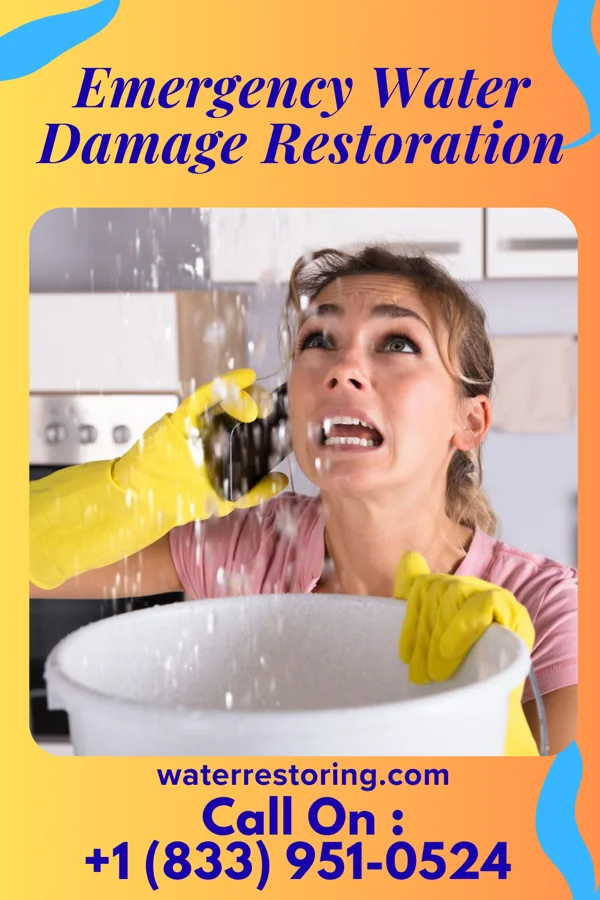 Emergency Water Damage Restoration in La Crosse, VA
