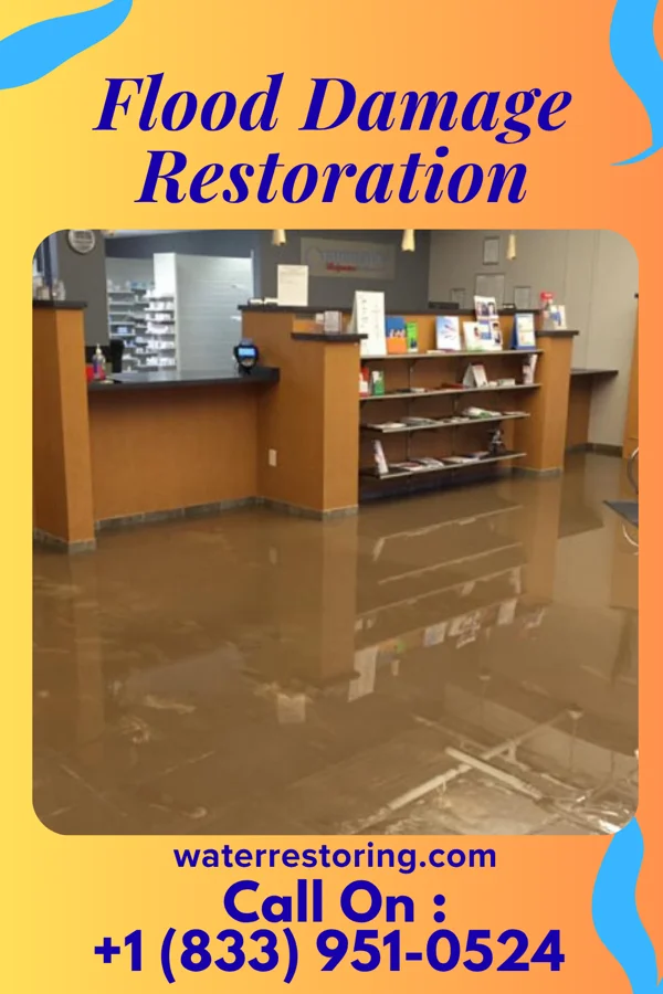 Flood Damage Restoration in La Crosse, VA
