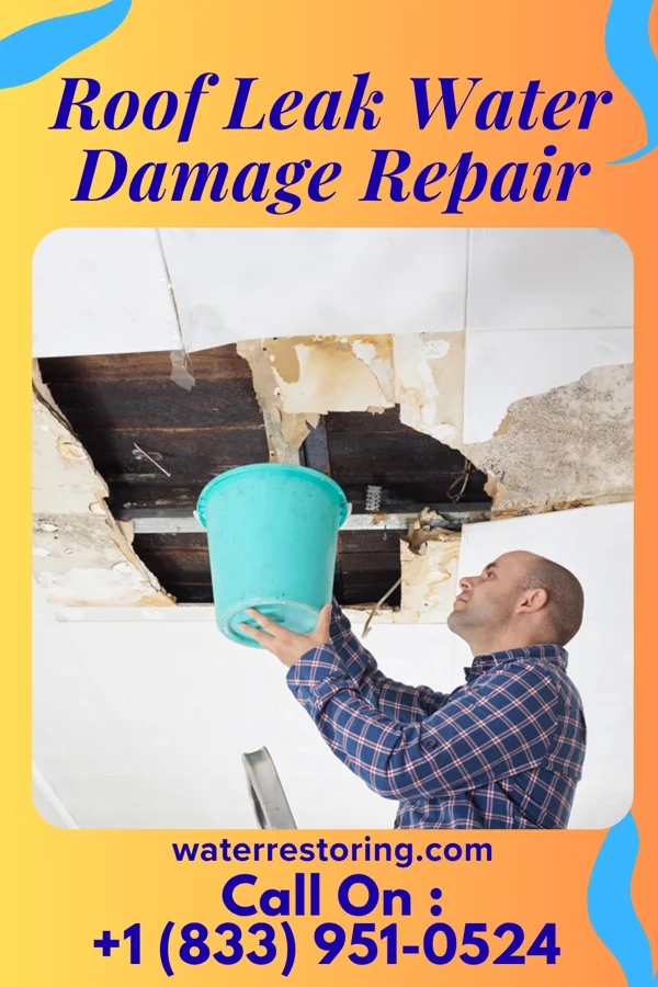 Roof Leak Water Damage Repair in La Crosse, VA