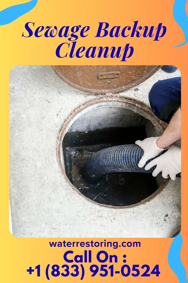 Sewage Backup Cleanup in La Crosse, VA